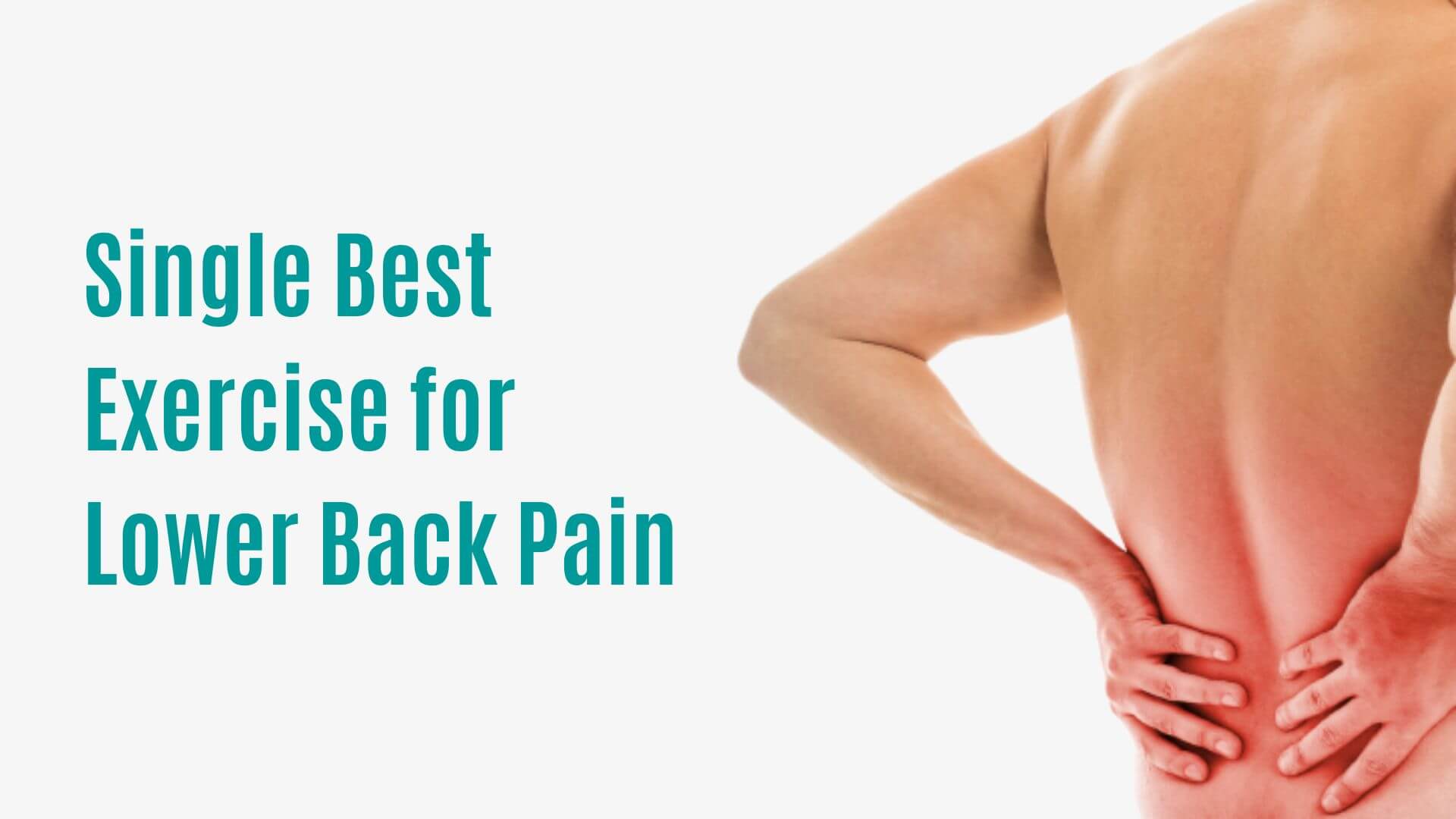 Single Best Exercise for Lower Back Pain
