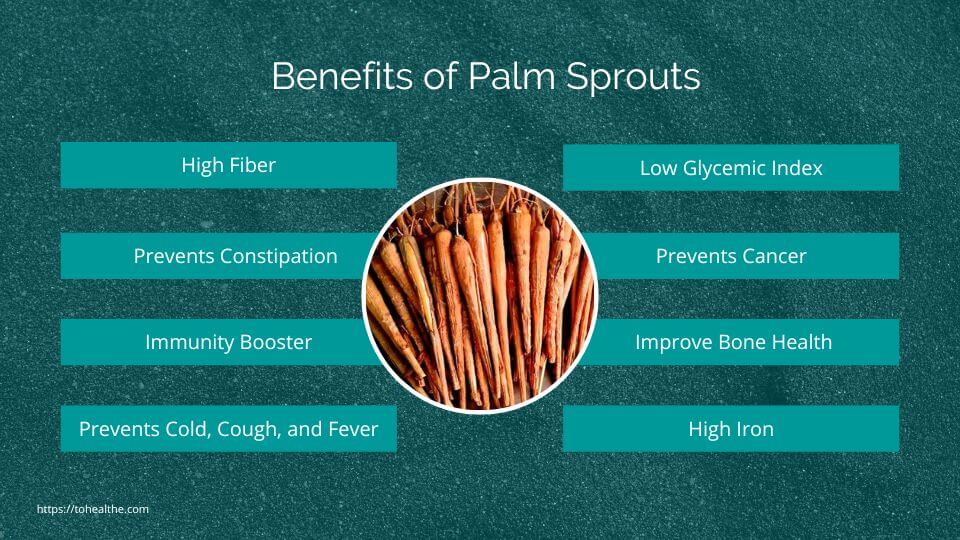 Palm Sprouts Benefits